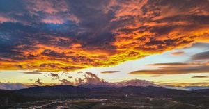 Image post by @tywhitlow on Instagram