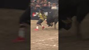 Video post by @pbr on YouTube