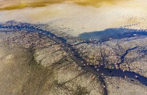 Image post by @droneartgallery on Instagram