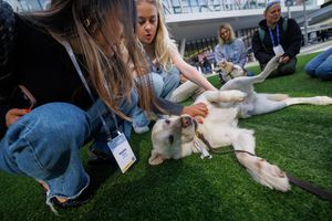 Image post by @workday on Instagram