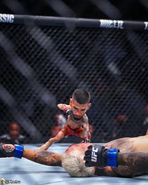 Image post by @phetru on Instagram