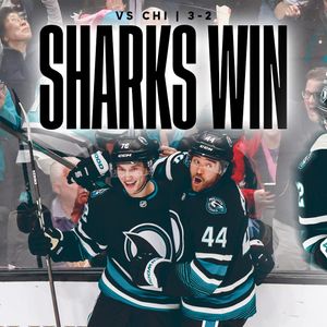 Image post by @sanjosesharks on Instagram