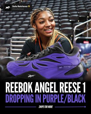 Image post by @soleretriever on Instagram