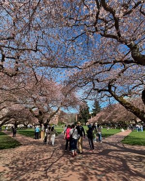 Image post by @uofwa on Instagram