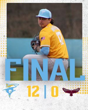 Image post by @liubaseball on Instagram