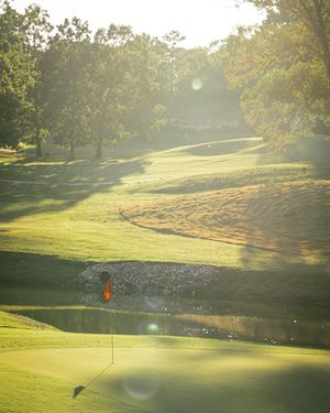 Image post by @wildwoodgreengc on Instagram