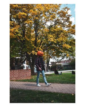 Image post by @throughcollinseyes on Instagram