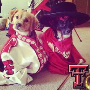 Image post by @texastechathletics on Instagram