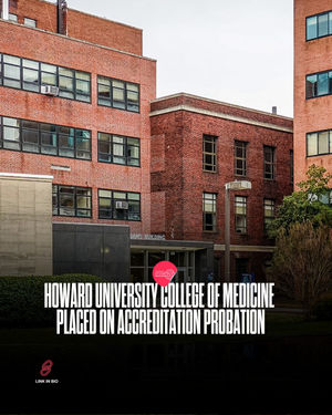Image post by @hbcubuzz on Instagram