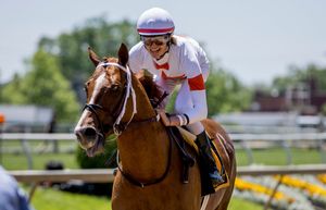 Image post by @BreedersCup on Twitter