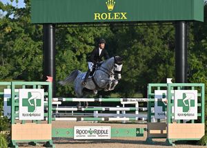 Image post by @kyhorseshows on Instagram