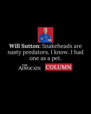 Image post by @theadvocatebr on Instagram