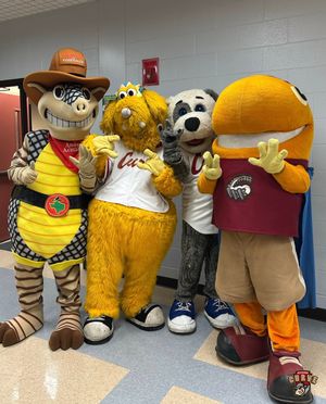 Image post by @altoonacurve on Instagram