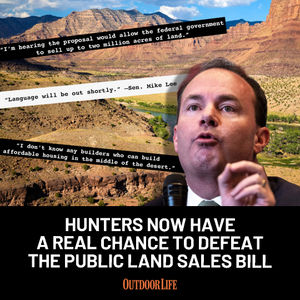 Image post by @outdoor_life on Instagram