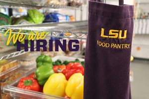 Image post by @lsucampuslife on Instagram