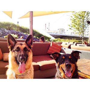 Image post by @theironhorsehotel on Instagram