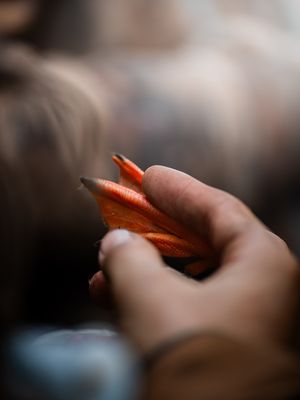 Image post by @gavin.fernholz on Instagram