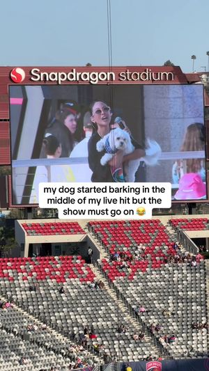 Video post by @meganreyes__ on TikTok