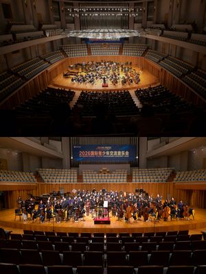 Image post by @trustorchestra on Instagram