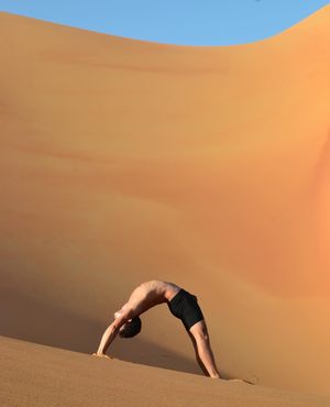 Image post by @didieryoga on Instagram