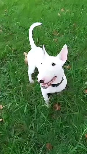 Video post by @alyshiafaith on Instagram