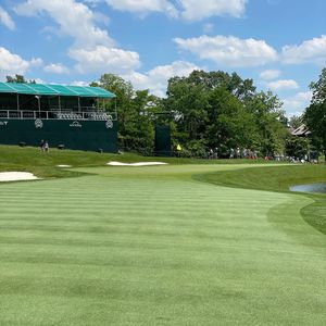 Image post by @lukedonald on Instagram