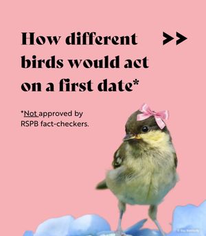 Image post by @rspb on Instagram