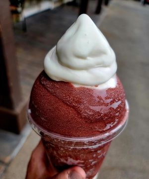 Image post by @theiceecompany on Instagram