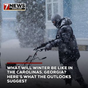 Image post by @wspatv on Instagram