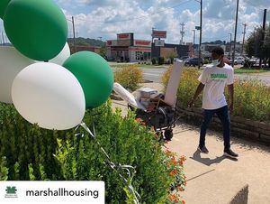 Image post by @marshallu on Instagram