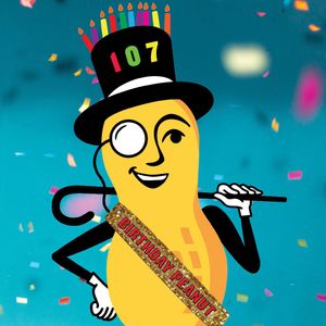 Image post by @mrpeanutofficial on Instagram
