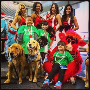 Image post by @bennythebull on Instagram