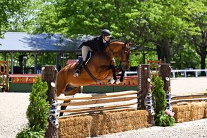 Image post by @kyhorseshows on Instagram