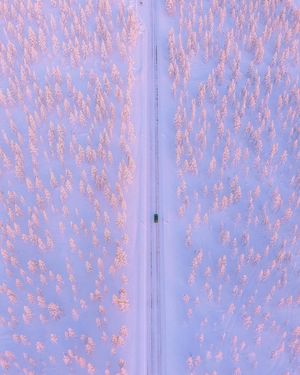 Image post by @fubiz on Instagram