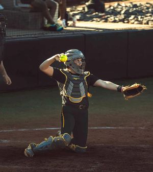 Image post by @ksuowlssb on Instagram