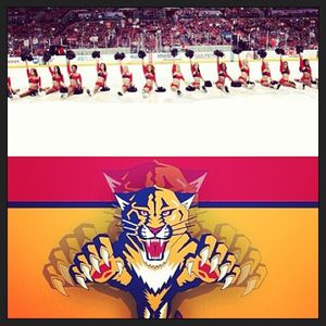 Image post by @flapanthers on Instagram
