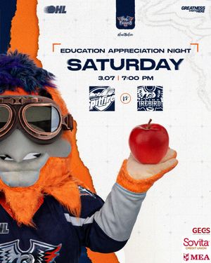 Image post by @flintfirebirds on Instagram