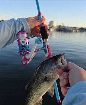 Image post by @profishiency on Instagram