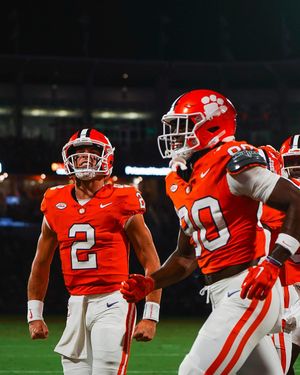 Image post by @cutigervision on Instagram