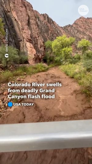 Video post by @usatoday on Instagram