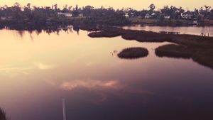 Video post by @RivasImages on Facebook