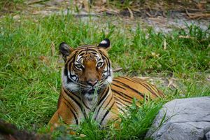 Image post by @zootampa on Instagram