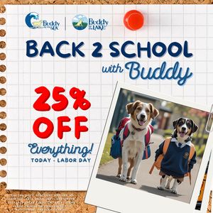 Image post by @shop_buddybythesea on Instagram