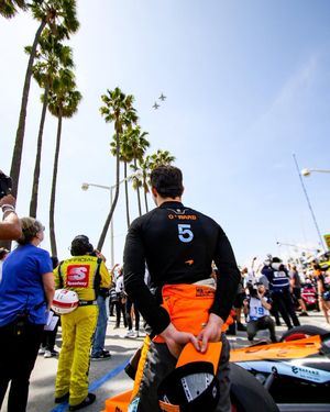 Image post by @PatricioOWard on Twitter