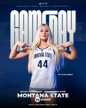 Image post by @msubobcatswbb on Instagram