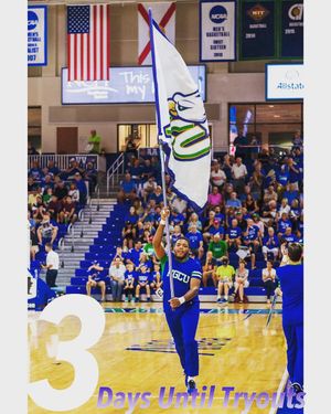 Image post by @fgcu_cheer on Instagram