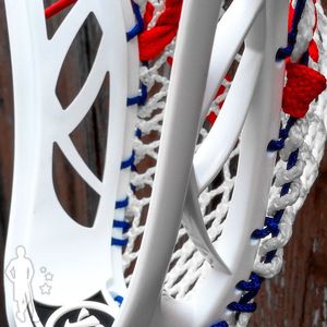 Image post by @warriorlax on Instagram