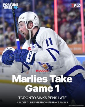 Image post by @flohockey on Instagram