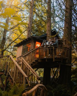 Image post by @treehousepoint on Instagram