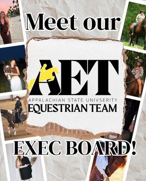 Image post by @appalachianequestrian on Instagram